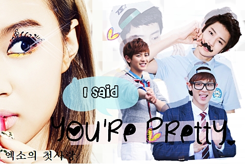 [EXO's First Love] I Said, You're Pretty – EXO Fanfiction